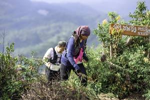 BIB: 
                            <button type="button" onclick="openModal(24765440)" class="btn btn-primary btn-sm float-right btn-popup" data-toggle="modal" data-target=".modal-high-quality">
                        <i class="fas fa-shopping-cart"></i> Add to Cart
                    </button>
                                            <button type="button" onclick="isThisMe(24765440, true)" class="btn btn-success btn-sm float-right btn-popup btn-isme hidden" data-toggle="tooltip" data-placement="bottom" title="นี่คือรูปของคุณใช่ไหม คลิกที่นี่เพื่อเอาเข้าอัลบั้ม">
                        <i class="fas fa-plus"></i> Add to album
                    </button>
                    <button type="button" onclick="isThisMe(24765440, false)" class="btn btn-warning btn-sm float-right btn-popup btn-isnotme hidden">
                        <i class="fas fa-ban"></i> Remove from album
                    </button>